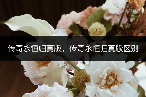 传奇永恒归真版,传奇永恒归真版区别