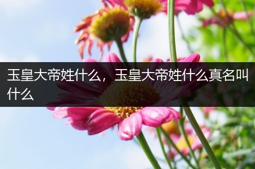 玉皇大帝姓什么,玉皇大帝姓什么真名叫什么