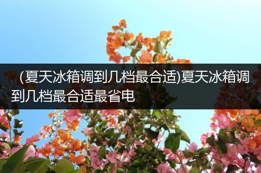 (夏天冰箱调到几档最合适)夏天冰箱调到几档最合适最省电