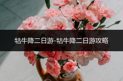 牯牛降二日游-牯牛降二日游攻略