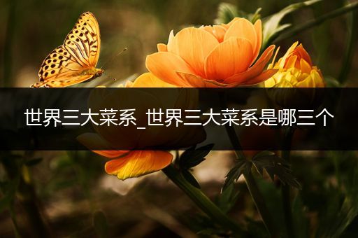 世界三大菜系_世界三大菜系是哪三个