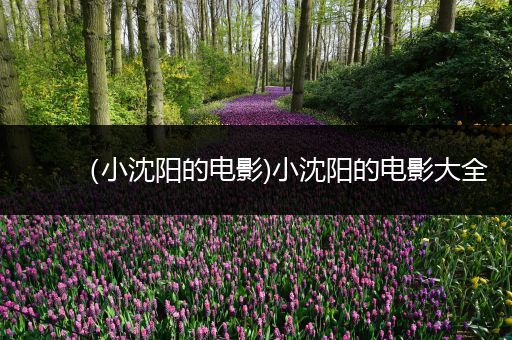 (小沈阳的电影)小沈阳的电影大全