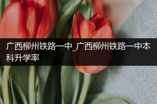 广西柳州铁路一中_广西柳州铁路一中本科升学率