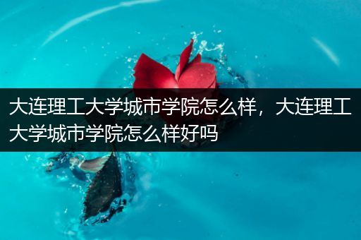 大连理工大学城市学院怎么样,大连理工大学城市学院怎么样好吗