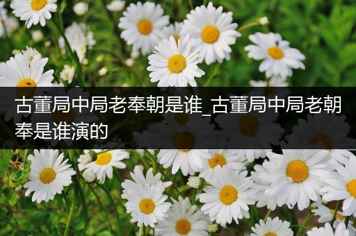古董局中局老奉朝是谁_古董局中局老朝奉是谁演的