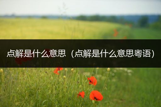点解是什么意思(点解是什么意思粤语)