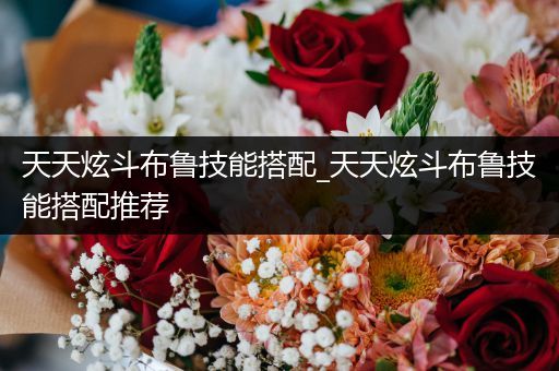 天天炫斗布鲁技能搭配_天天炫斗布鲁技能搭配推荐