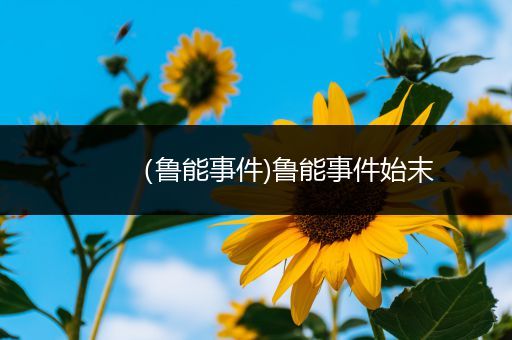 (鲁能事件)鲁能事件始末