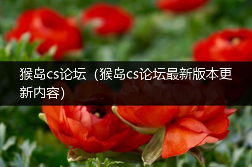 猴岛cs论坛(猴岛cs论坛最新版本更新内容)