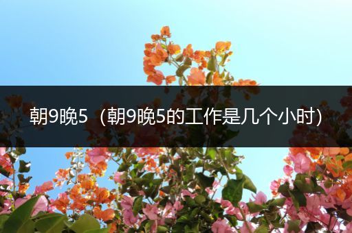 朝9晚5(朝9晚5的工作是几个小时)