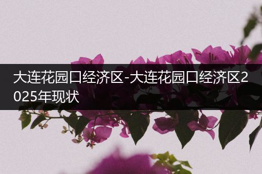 大连花园口经济区-大连花园口经济区2025年现状