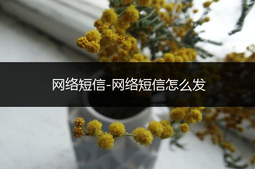 网络短信-网络短信怎么发