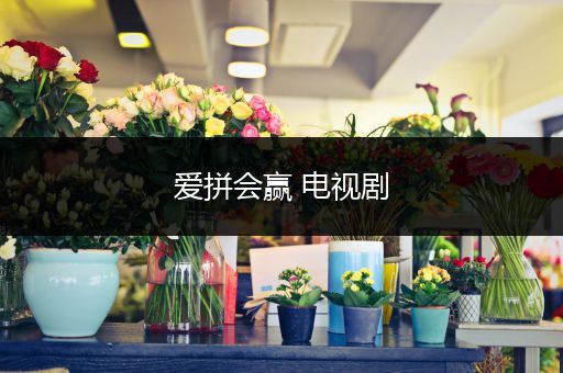 爱拼会赢 电视剧