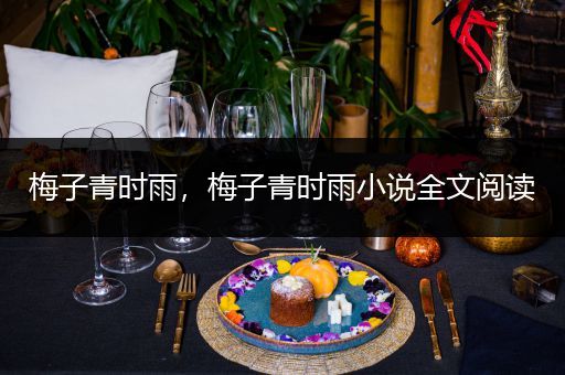 梅子青时雨,梅子青时雨小说全文阅读