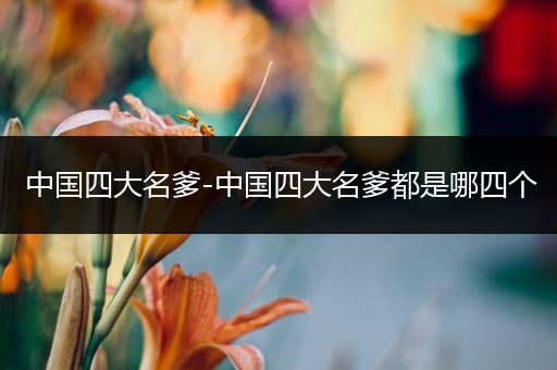 中国四大名爹-中国四大名爹都是哪四个