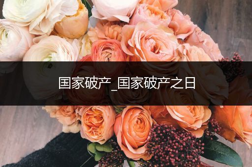 国家破产_国家破产之日