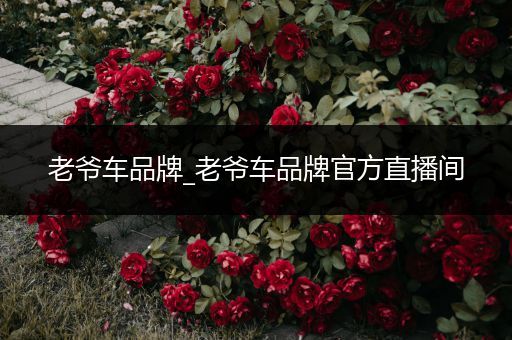 老爷车品牌_老爷车品牌官方直播间