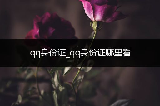 qq身份证_qq身份证哪里看
