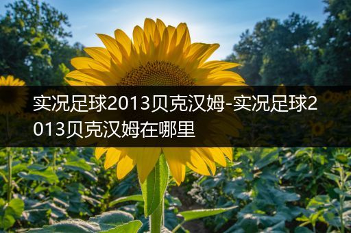 实况足球2013贝克汉姆-实况足球2013贝克汉姆在哪里