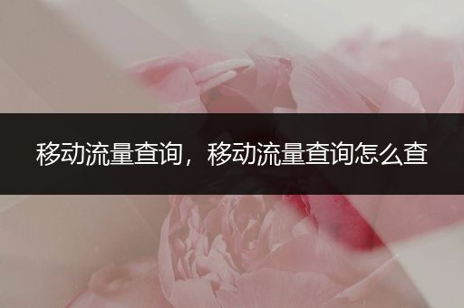 移动流量查询,移动流量查询怎么查