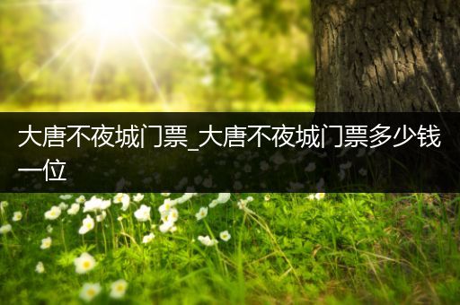 大唐不夜城门票_大唐不夜城门票多少钱一位