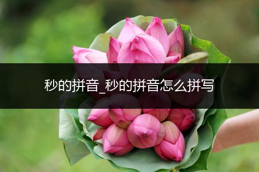 秒的拼音_秒的拼音怎么拼写