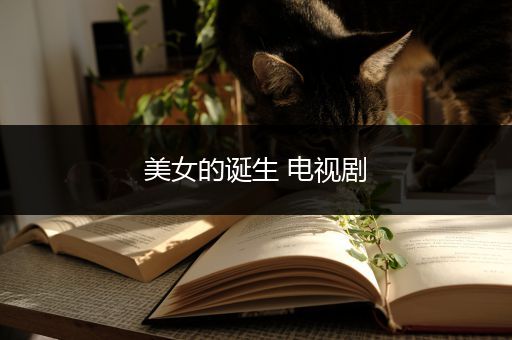 美女的诞生 电视剧