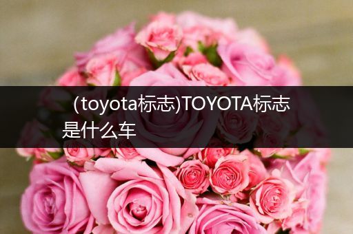 (toyota标志)TOYOTA标志是什么车