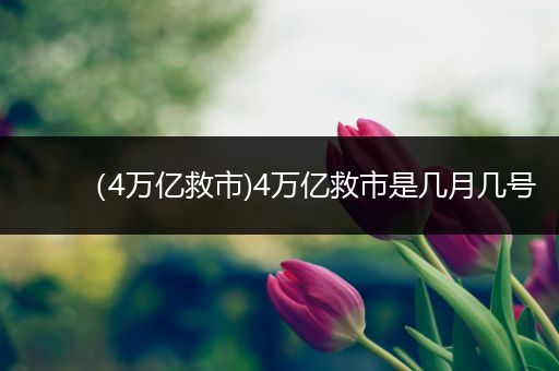 (4万亿救市)4万亿救市是几月几号