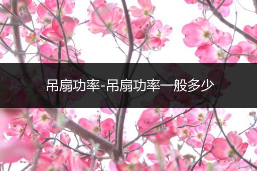 吊扇功率-吊扇功率一般多少