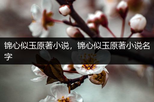 锦心似玉原著小说,锦心似玉原著小说名字