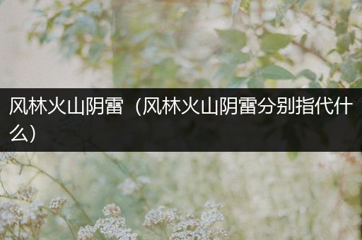 风林火山阴雷(风林火山阴雷分别指代什么)