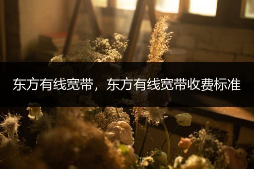 东方有线宽带,东方有线宽带收费标准