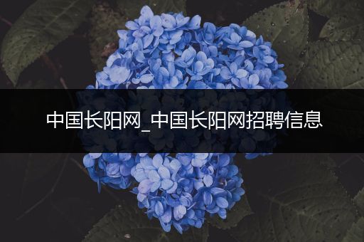 中国长阳网_中国长阳网招聘信息