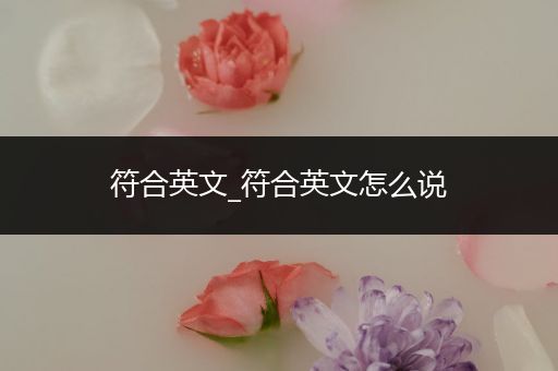 符合英文_符合英文怎么说
