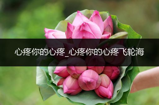 心疼你的心疼_心疼你的心疼飞轮海