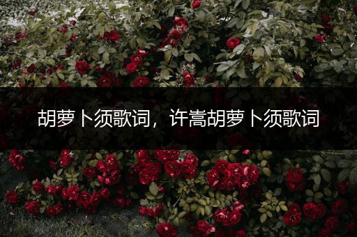 胡萝卜须歌词,许嵩胡萝卜须歌词