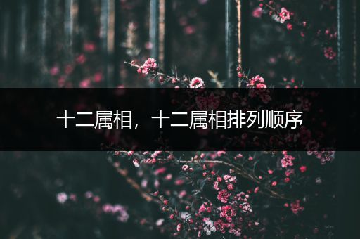 十二属相,十二属相排列顺序