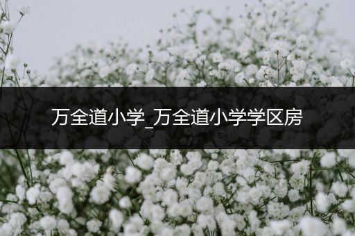 万全道小学_万全道小学学区房
