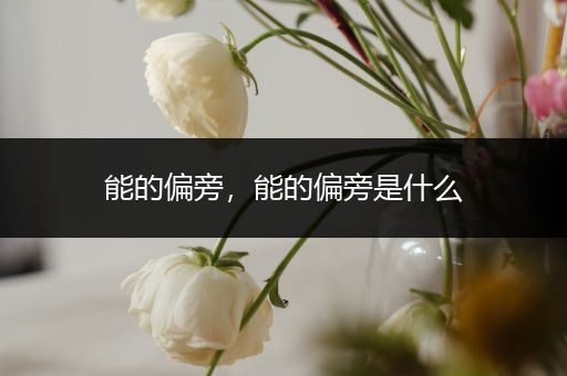 能的偏旁,能的偏旁是什么