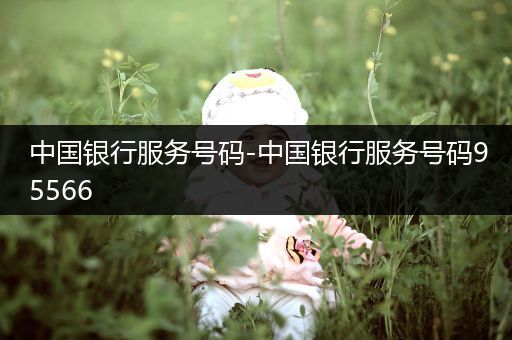 中国银行服务号码-中国银行服务号码95566