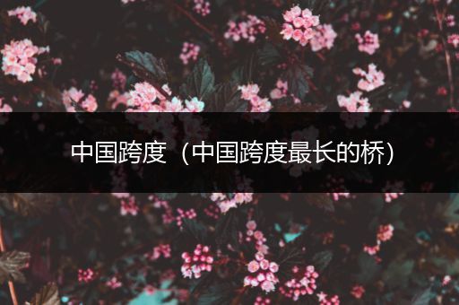 中国跨度(中国跨度最长的桥)