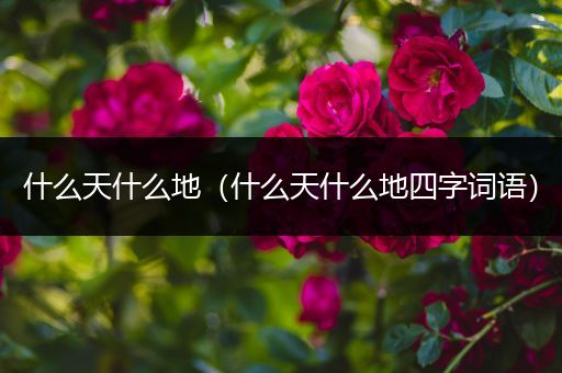 什么天什么地(什么天什么地四字词语)