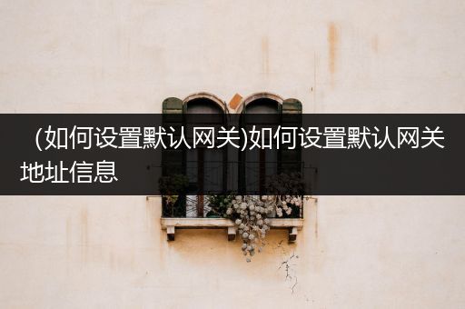 (如何设置默认网关)如何设置默认网关地址信息