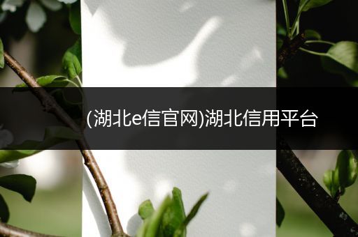 (湖北e信官网)湖北信用平台