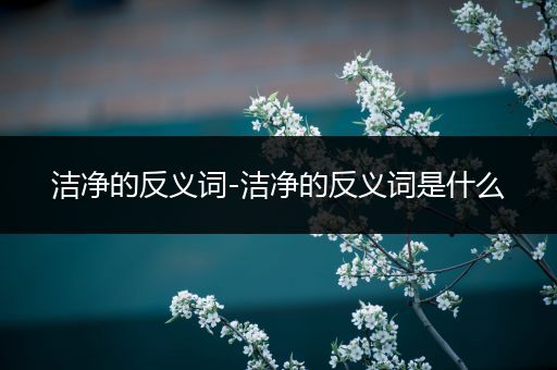 洁净的反义词-洁净的反义词是什么