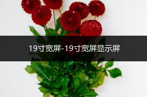 19寸宽屏-19寸宽屏显示屏
