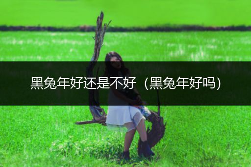 黑兔年好还是不好(黑兔年好吗)