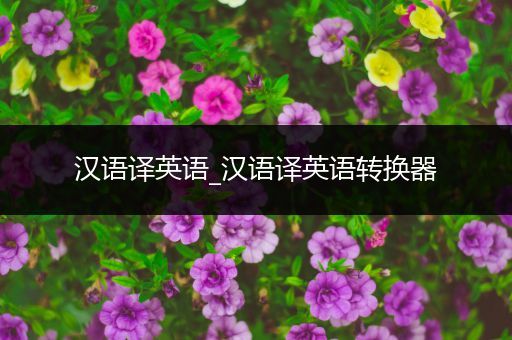 汉语译英语_汉语译英语转换器