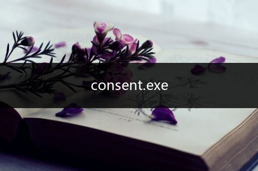 consent.exe